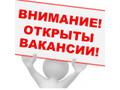 Рекламный сотрудник в интернет- магазин.