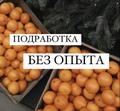 Подработка на Новый год